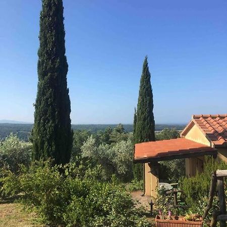 Casa Belvedere -Tranquillita Tra Bosco E Ulivi- 리파벨라 외부 사진