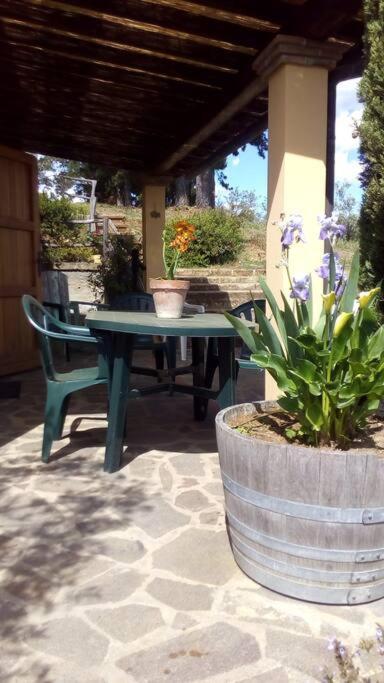 Casa Belvedere -Tranquillita Tra Bosco E Ulivi- 리파벨라 외부 사진