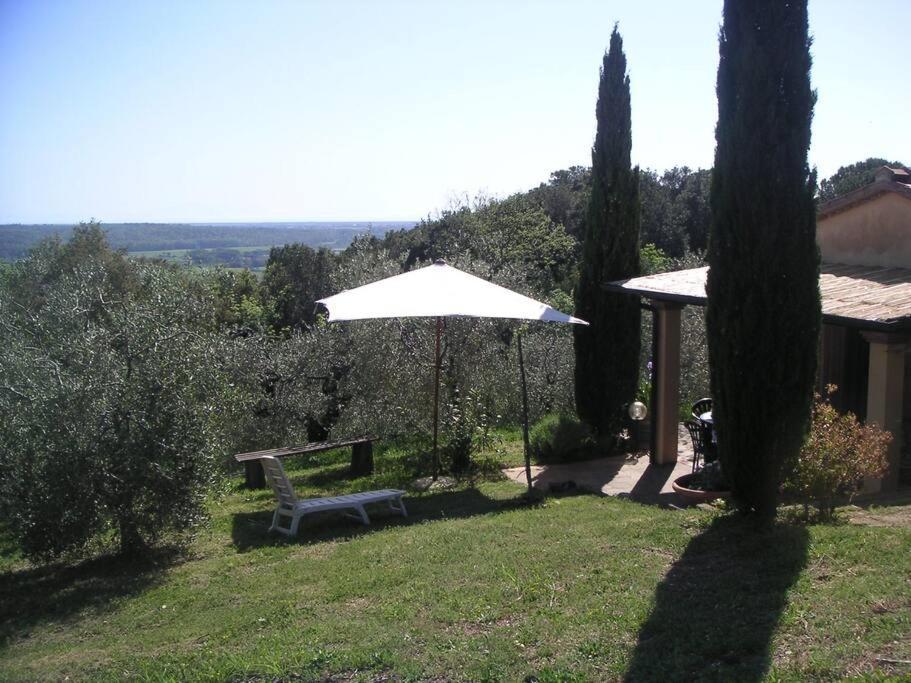 Casa Belvedere -Tranquillita Tra Bosco E Ulivi- 리파벨라 외부 사진