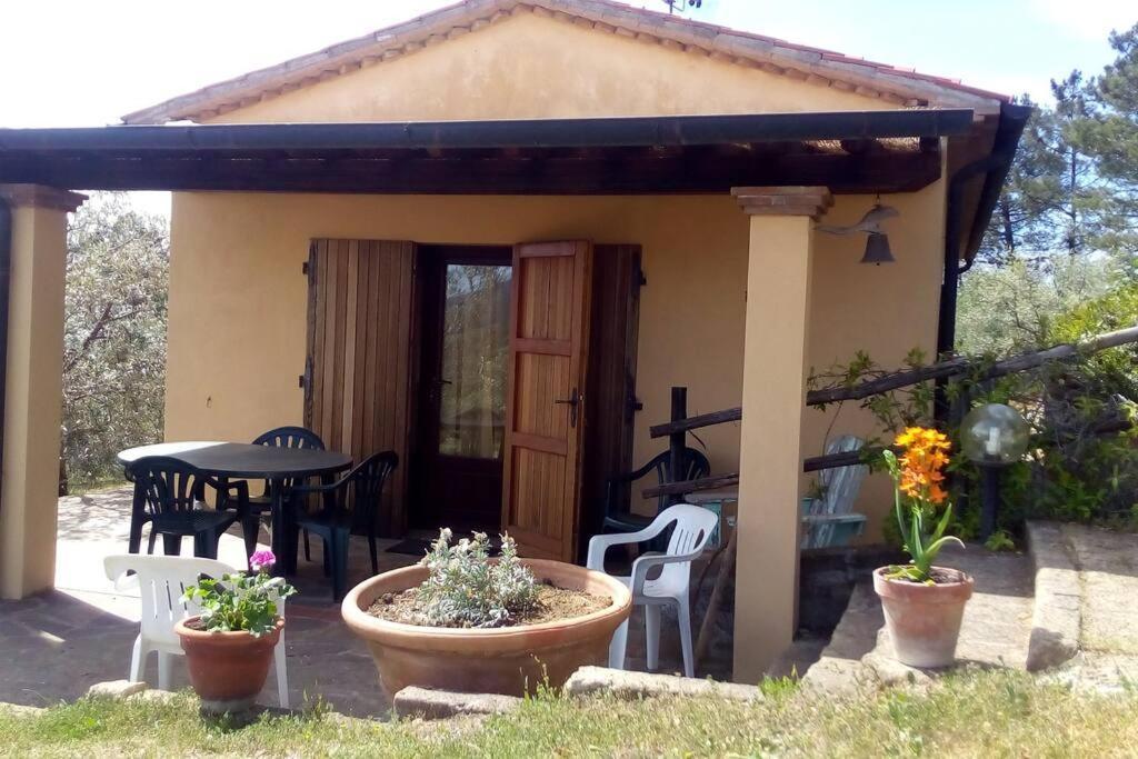 Casa Belvedere -Tranquillita Tra Bosco E Ulivi- 리파벨라 외부 사진