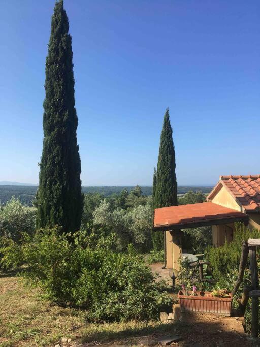 Casa Belvedere -Tranquillita Tra Bosco E Ulivi- 리파벨라 외부 사진