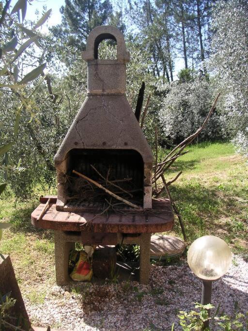 Casa Belvedere -Tranquillita Tra Bosco E Ulivi- 리파벨라 외부 사진
