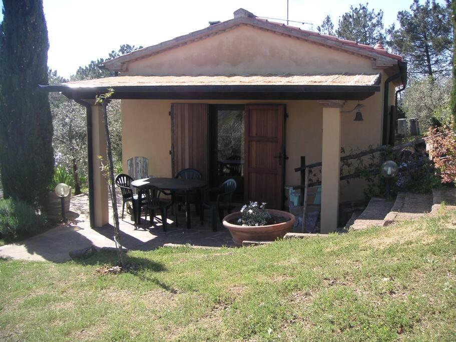 Casa Belvedere -Tranquillita Tra Bosco E Ulivi- 리파벨라 외부 사진