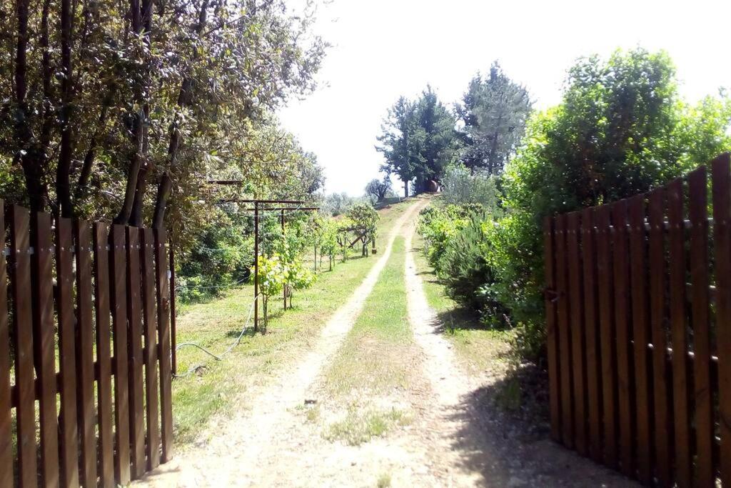 Casa Belvedere -Tranquillita Tra Bosco E Ulivi- 리파벨라 외부 사진