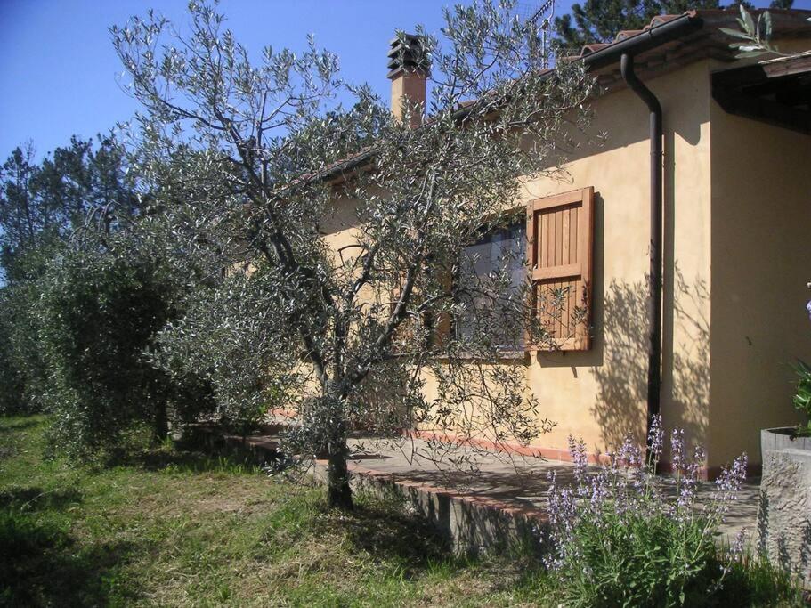 Casa Belvedere -Tranquillita Tra Bosco E Ulivi- 리파벨라 외부 사진